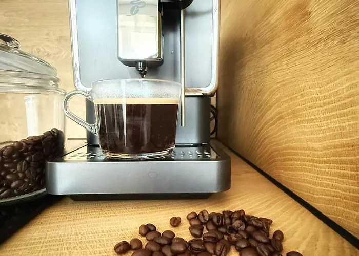 Carree 31 Balkon, Privatparkplatz, Aufzug, Kaffee Apartament Chemnitz